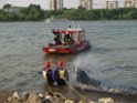 Kleine Yacht abgebrannt Koeln Hoehe Zoobruecke Rheinpark P101